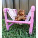 Animal Bird Therapy Rehab Chairs Wheelchairs for animals