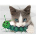 best cat toy, kong caterpillar